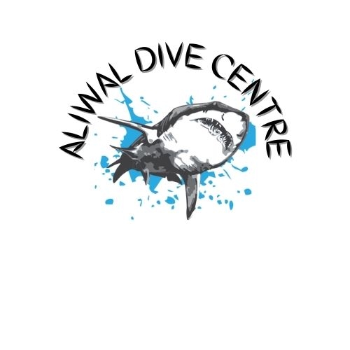 Thuesday 15th Oct - double reef dive... still space available...make it ...
