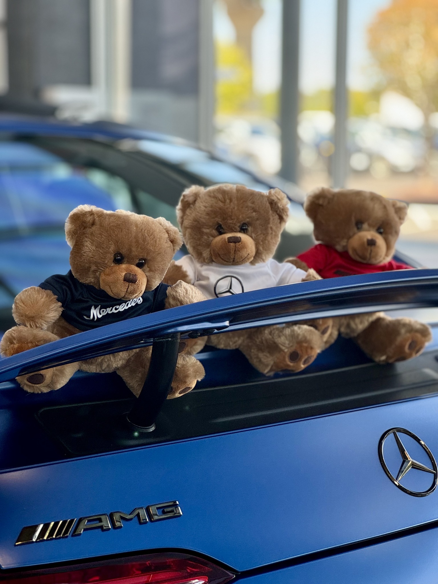 Happy National Teddy Bear Day from Mercedes-Benz of Tysons Corner 