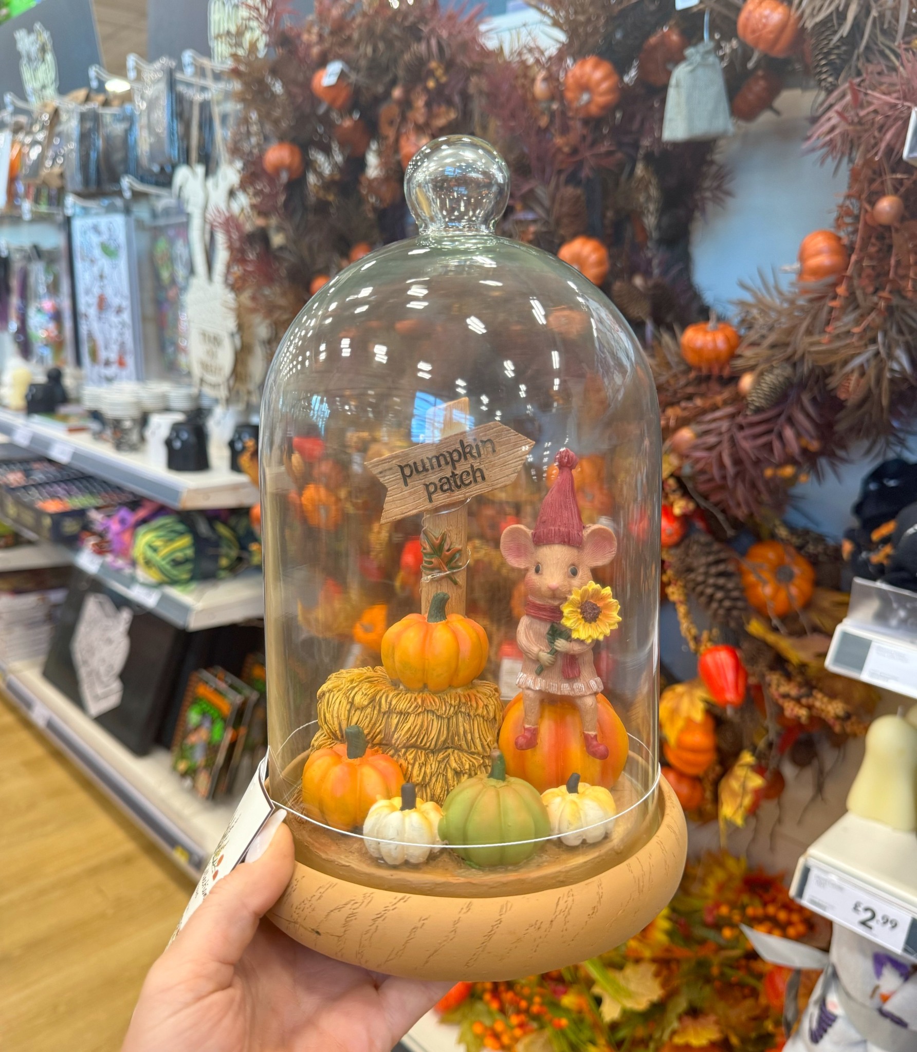 Mice to meet you 🍁🧡 👀 LOOK AT our NEW IN Autumnal Mouse Encased