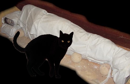 Cat Me Pantang Larang Nenek Moyang Benar Atau Facebook