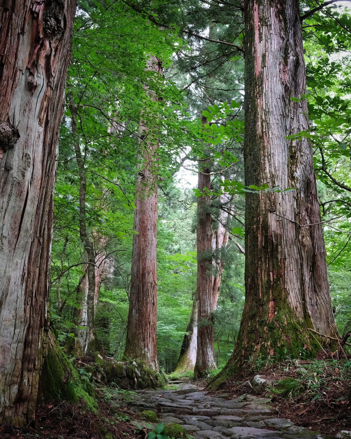 Somewhere in the quiet countryside near Nagano, Japan 🇯🇵