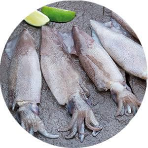 Hotel Kokan Fish