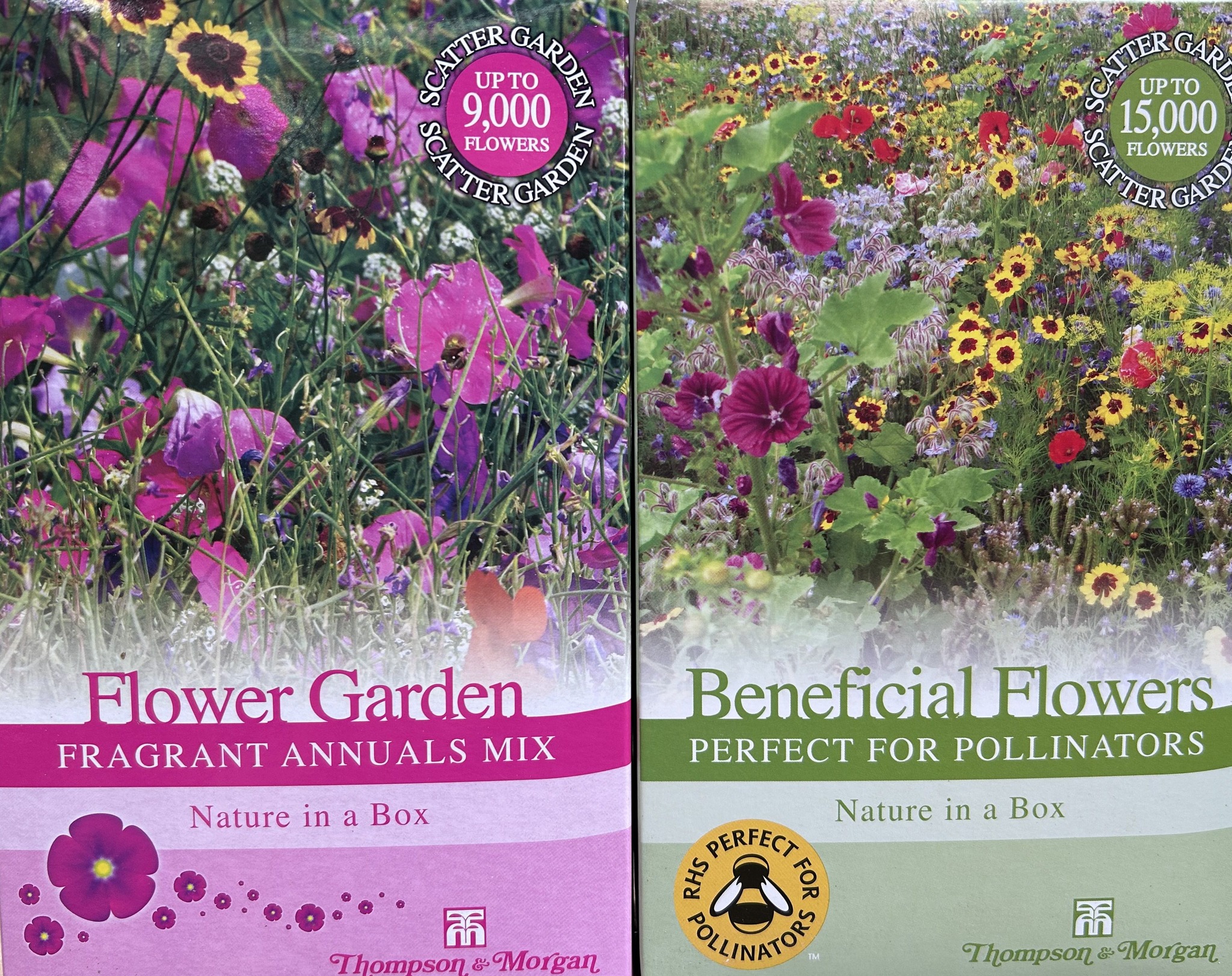 If you have a patch of garden in need of some colour these Scatter ...