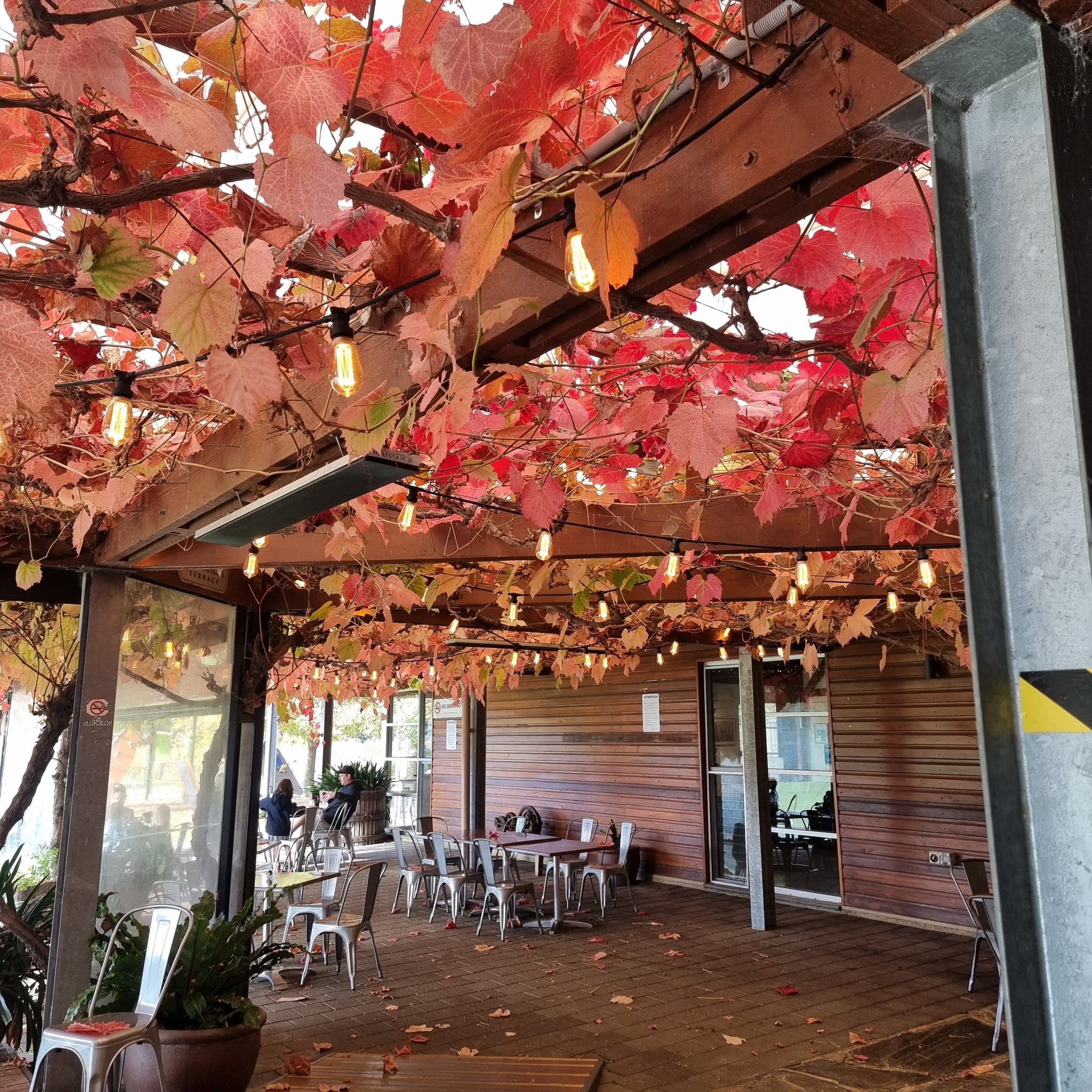 🍂 Embrace... - McLaren Vale & Fleurieu Coast Visitor Centre