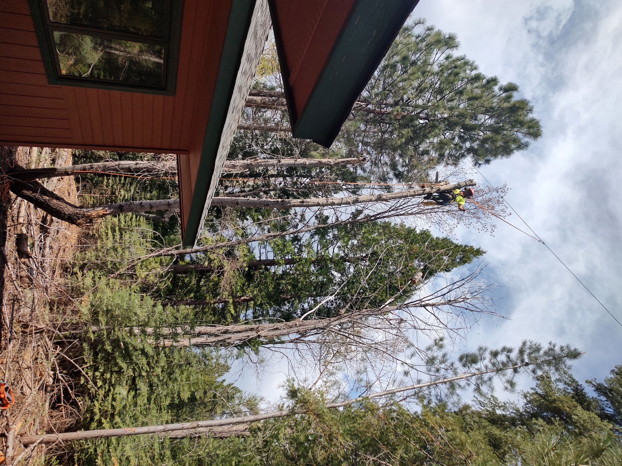Rope Runners Tree Service