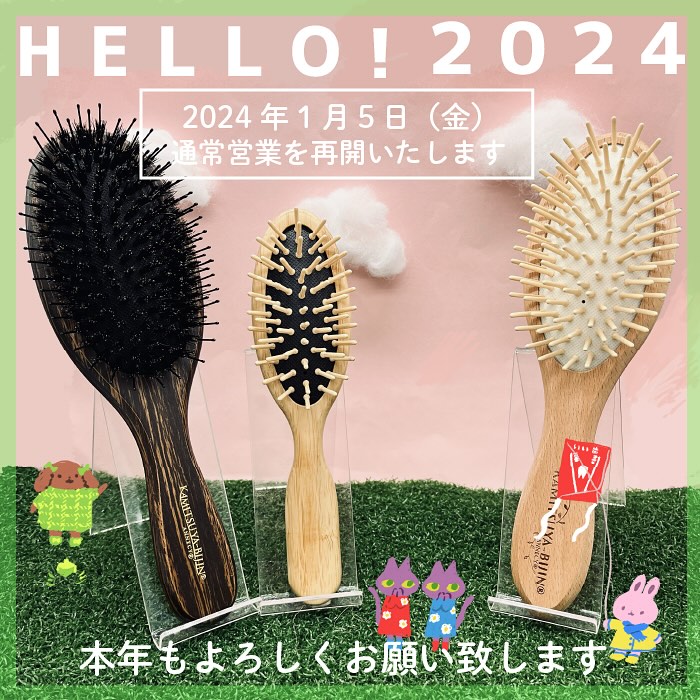 新品】アヌシ 女髪 ヘアケアコーム くし ブラシ 100本 【公式通販】
