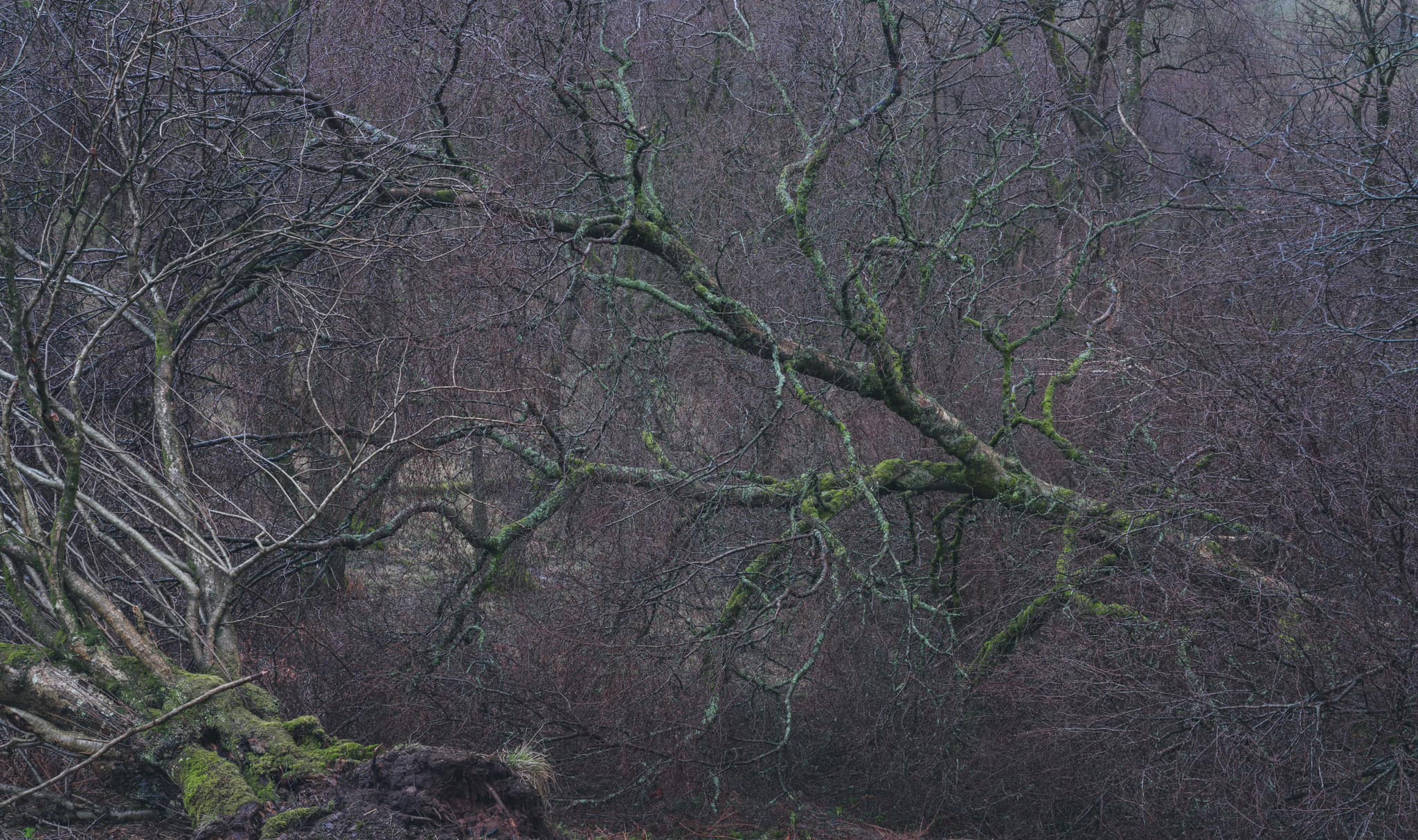 Tom Blockley Photographer