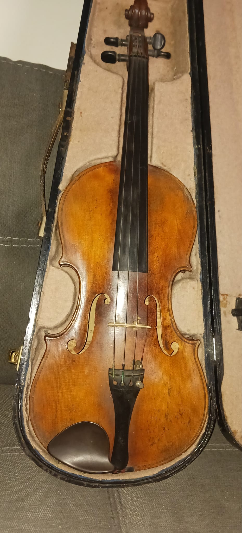 【希少】Alessandro Galiano Alomnus ヴァイオリン What is the value of a 1725 Alexandri Gagliano violin?