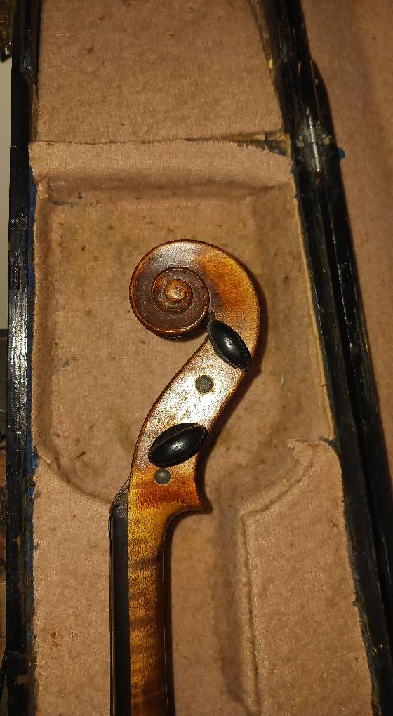 【希少】Alessandro Galiano Alomnus ヴァイオリン What is the value of a 1725 Alexandri Gagliano violin?