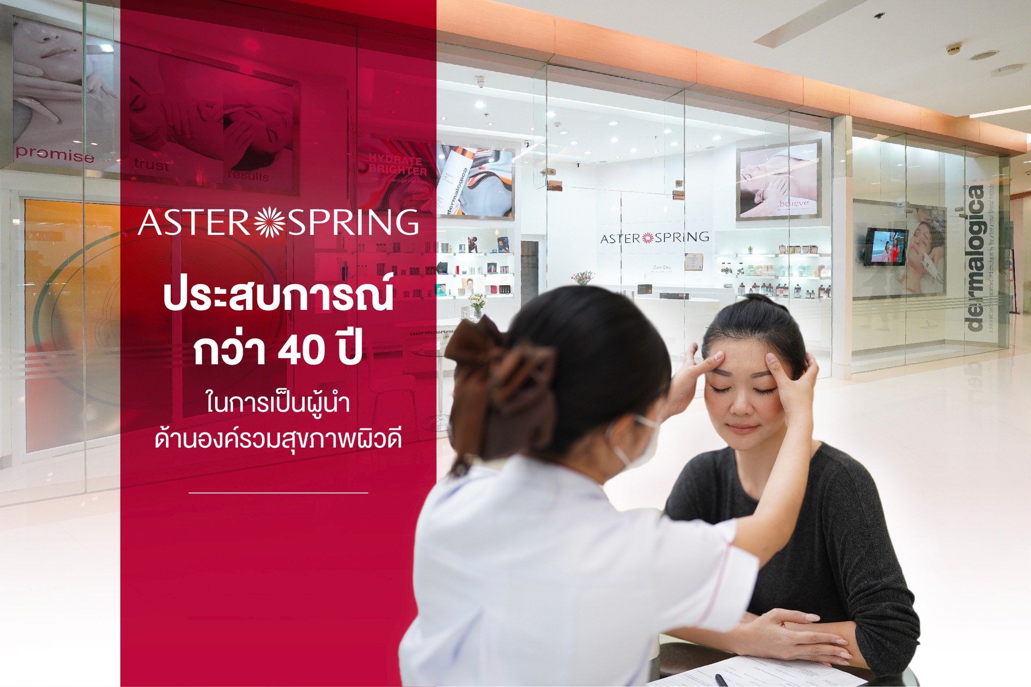 AsterSpring... - AsterSpring Thailand