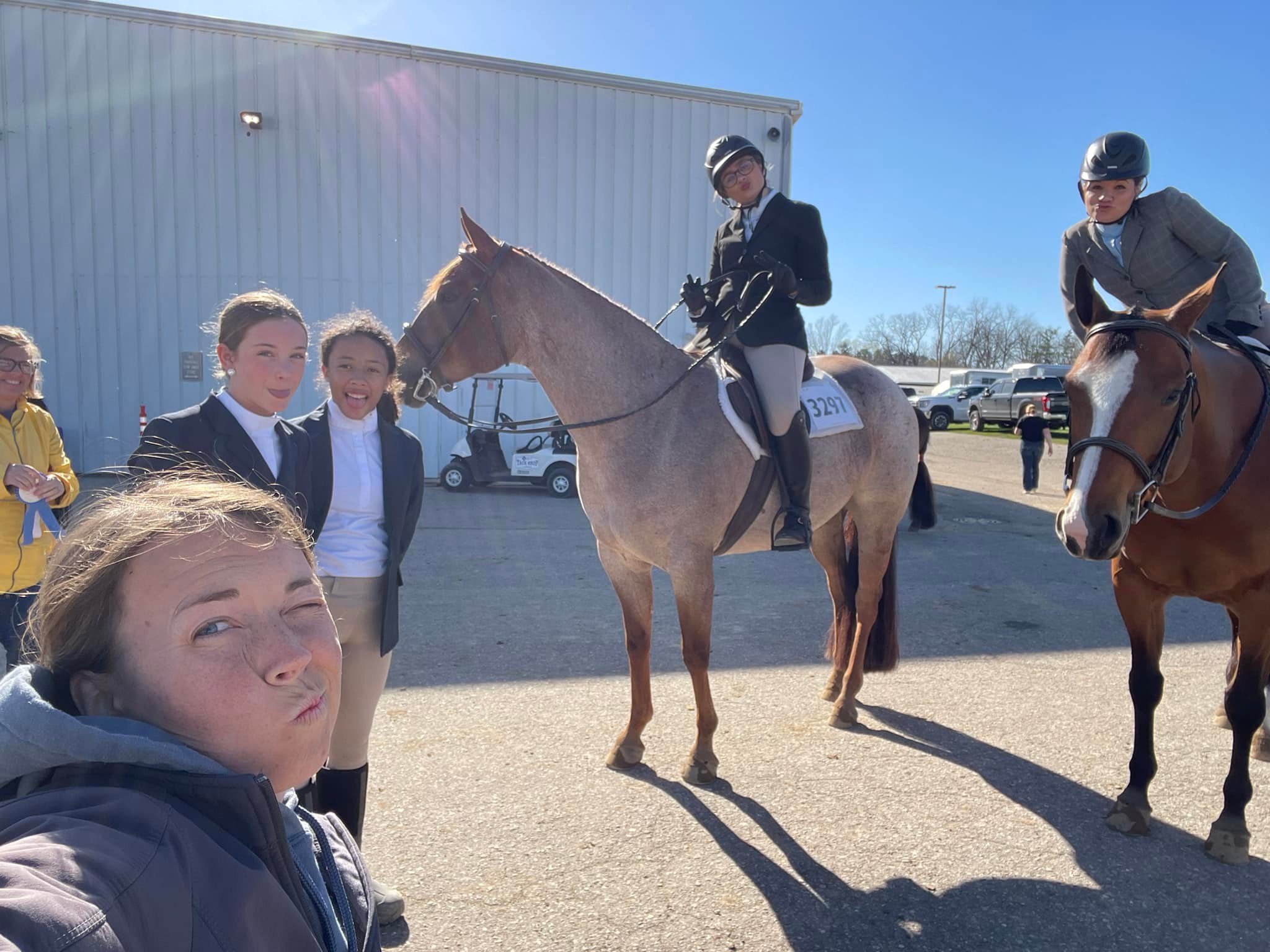 Provost Show Horses | Mattawan MI