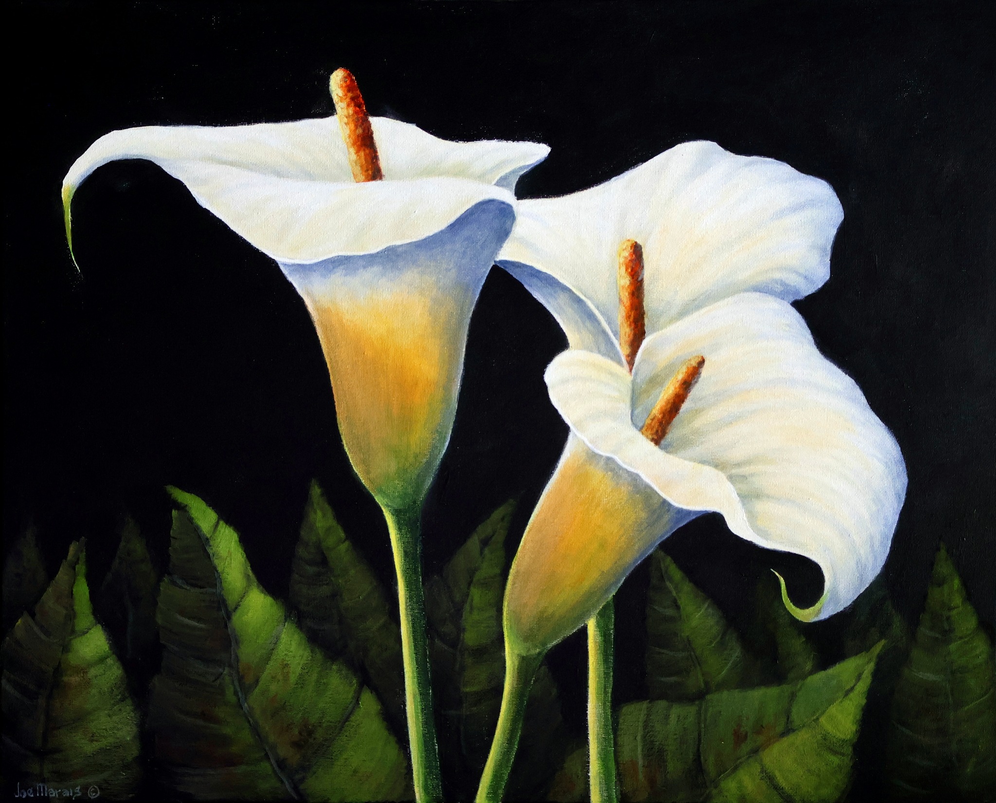 Timeless elegance in bloom The Franz Collection Calla Lily Vase 