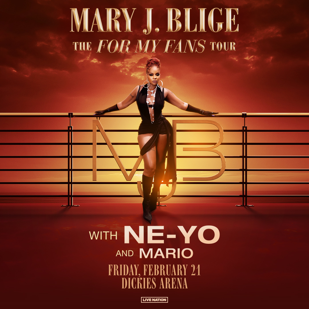 What are Gold VIP package perks for Lady Gaga concert?