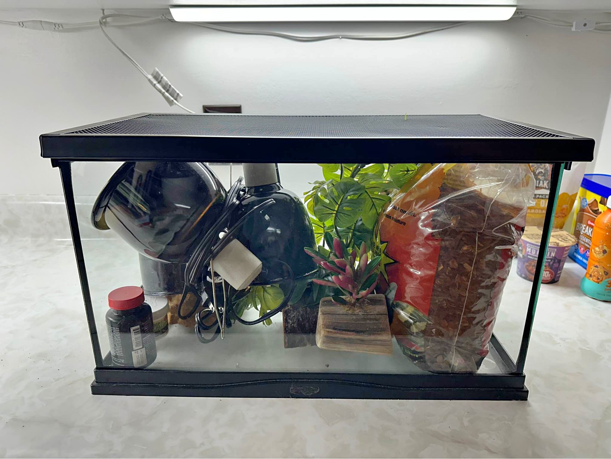 Ball Python Cage - 17”x14”x12” - Pet Crates & Carriers - Toney, Alabama ...