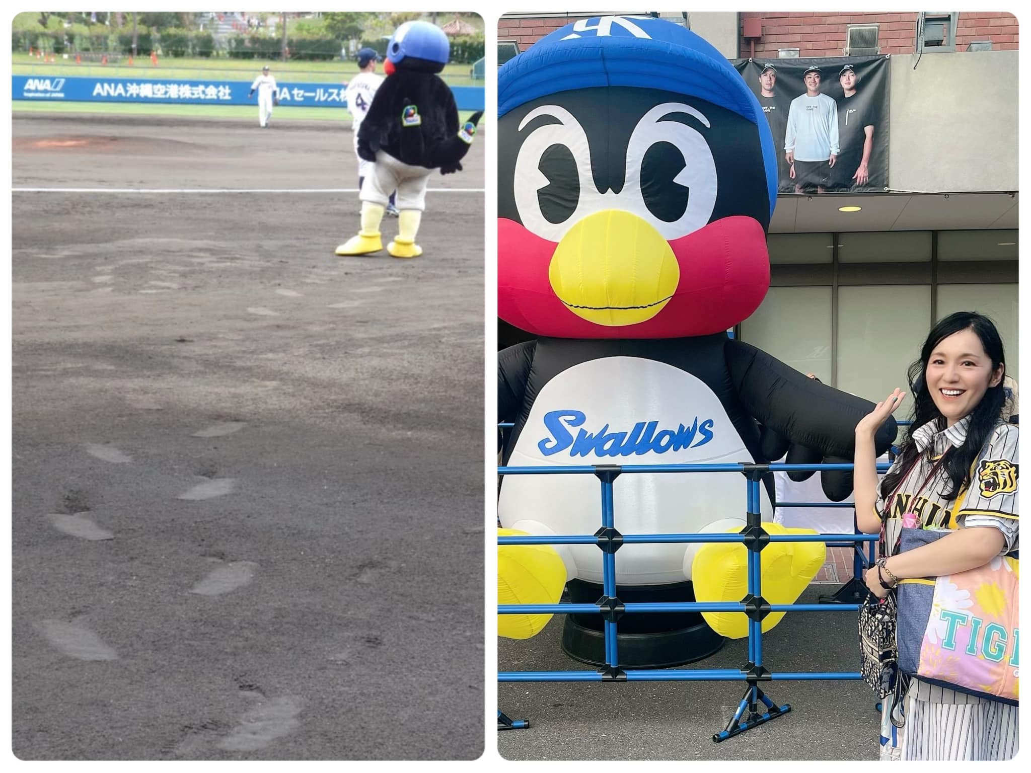 球団マスコット 中の人 女