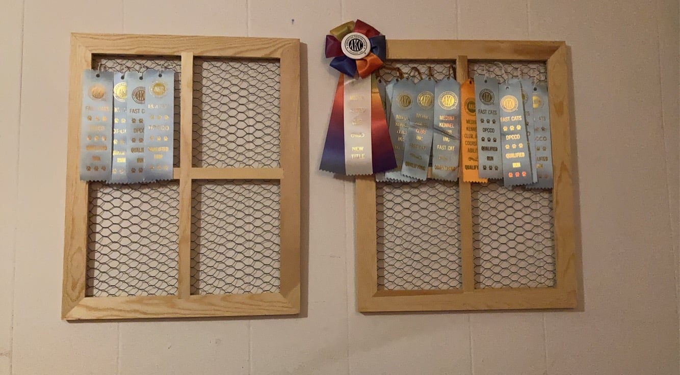 Dog Ribbon Displays | So this is my ribbon display currently I am ...