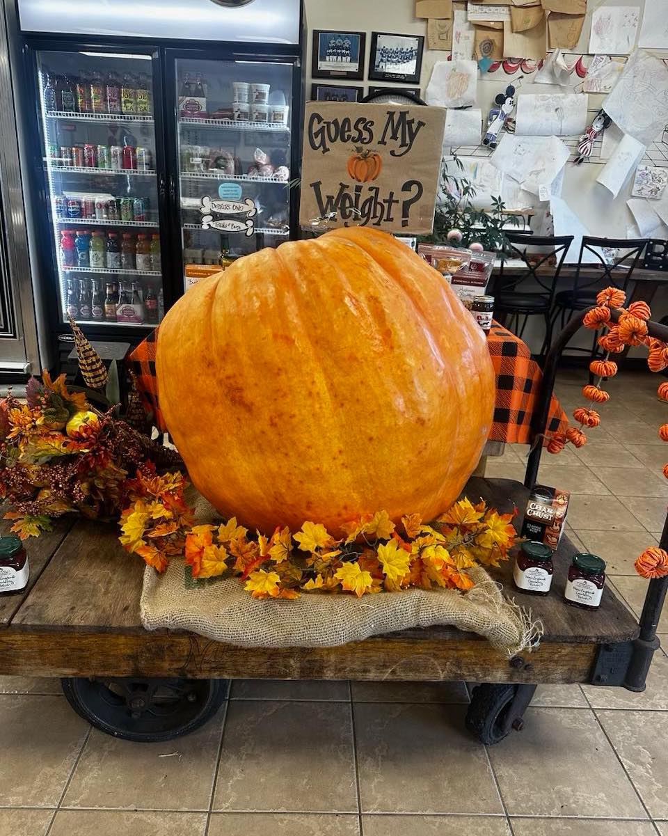 Heap's giant pumpkin at Dorfler's Meat Market