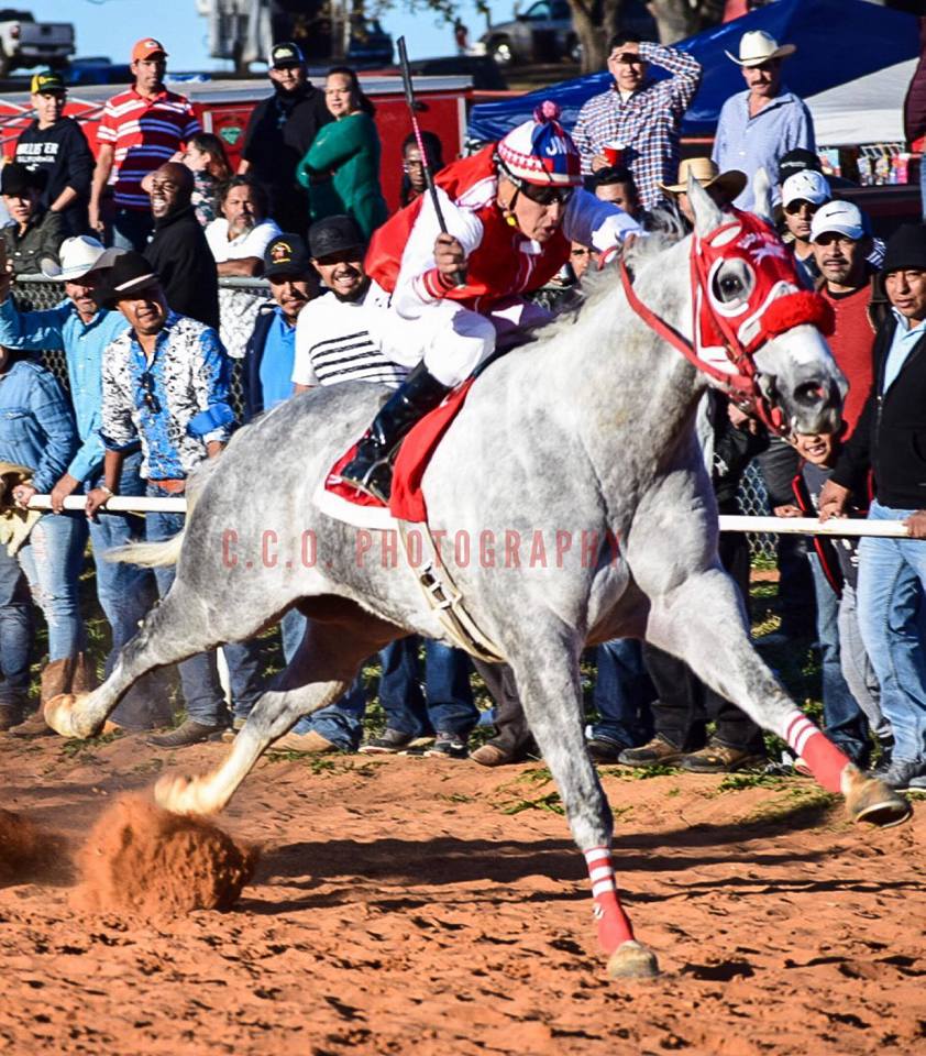 El Nevado De Cuadra RCCA.... - Caballos Ligeros De Chicago | Facebook
