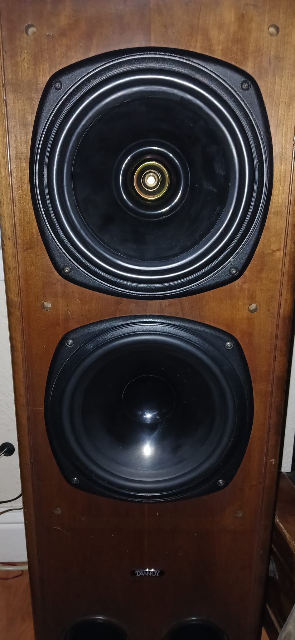 What is the Tannoy E11 LE speaker?