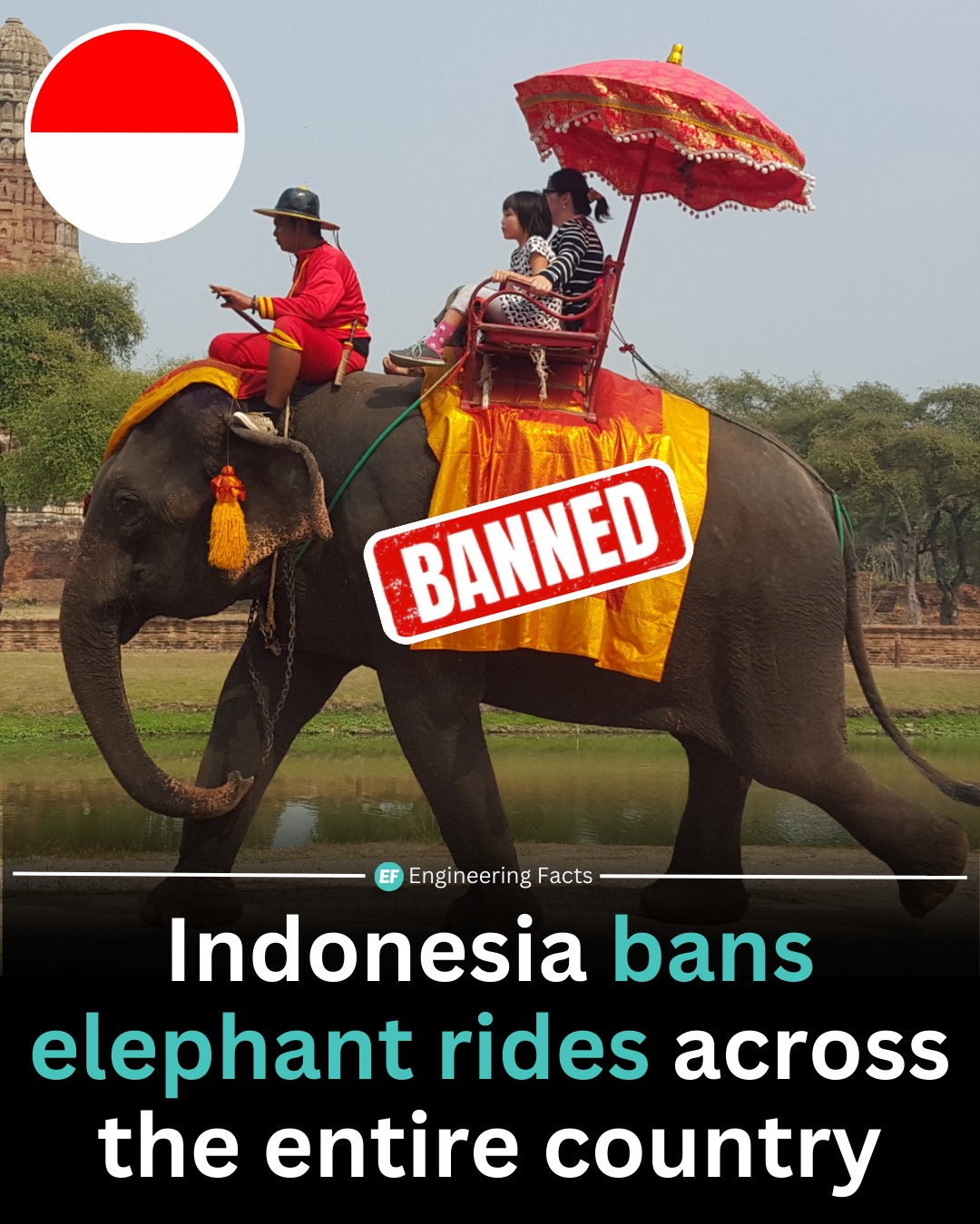 Indonesia has officially banned... - Engineering Facts | Facebook