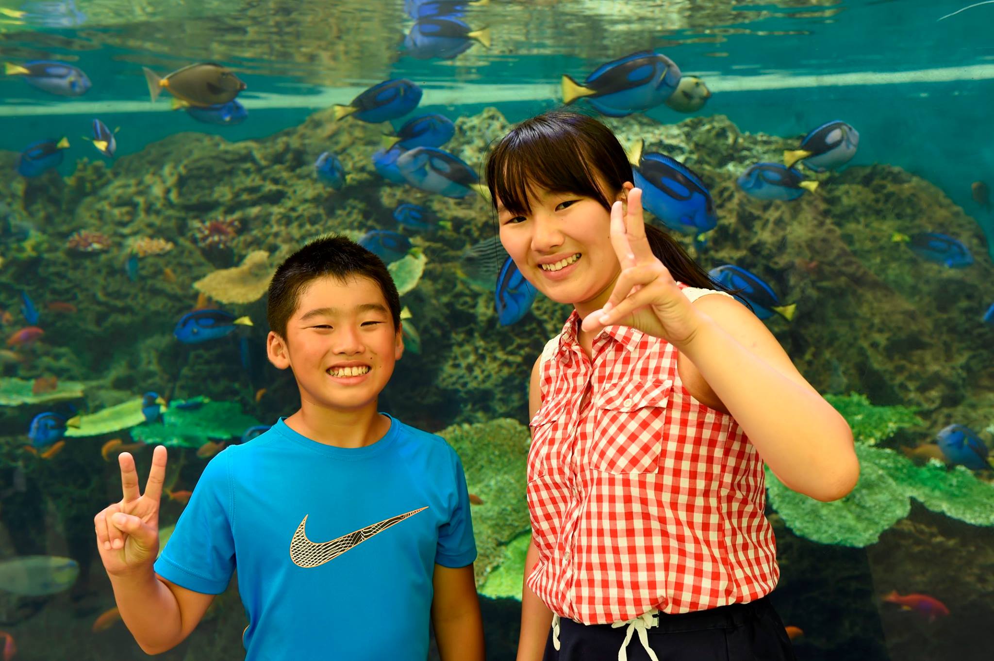 鴨川シーワールド - 〈おすすめフォトスポット〉 トロピカルアイランド