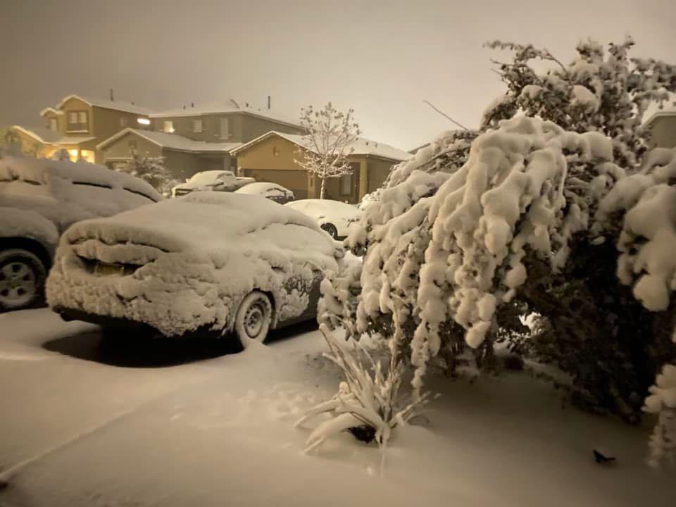 Heavy snow in Rio Rancho around... - Meteorologist Kira Miner