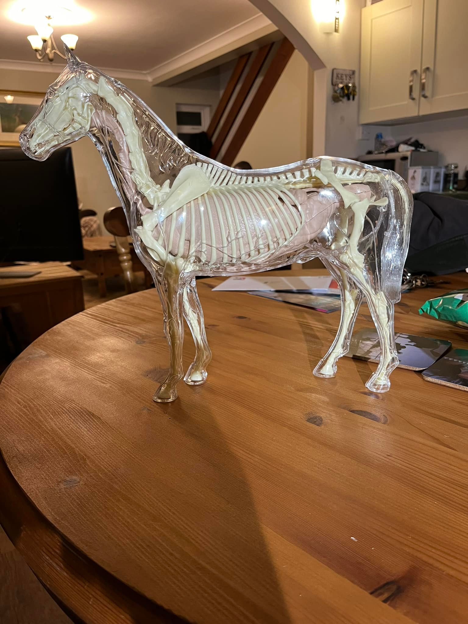 The Visible Horse model kit assembly challenges and experiences