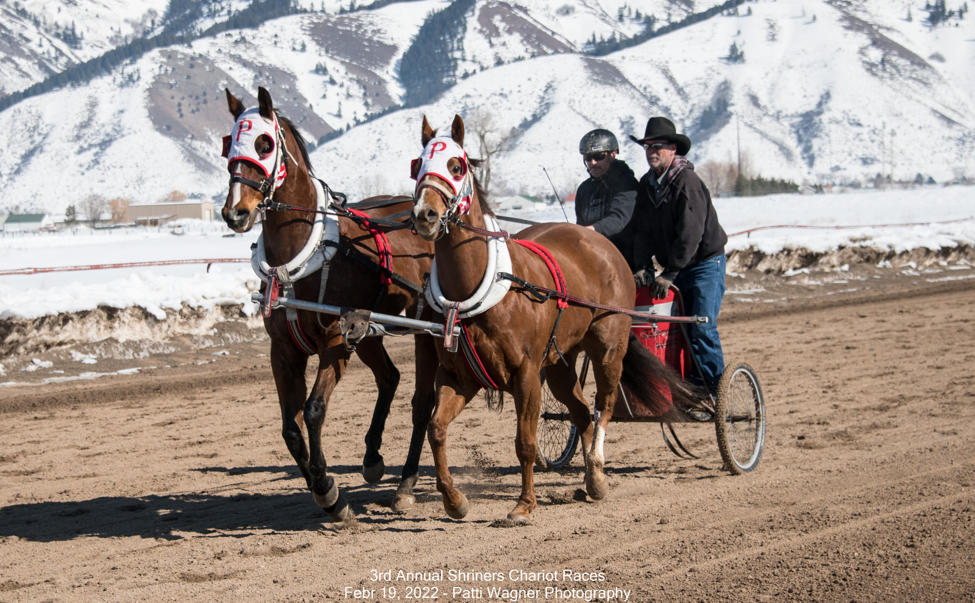 The... - All American Cutter/Chariot Races - Afton, WY