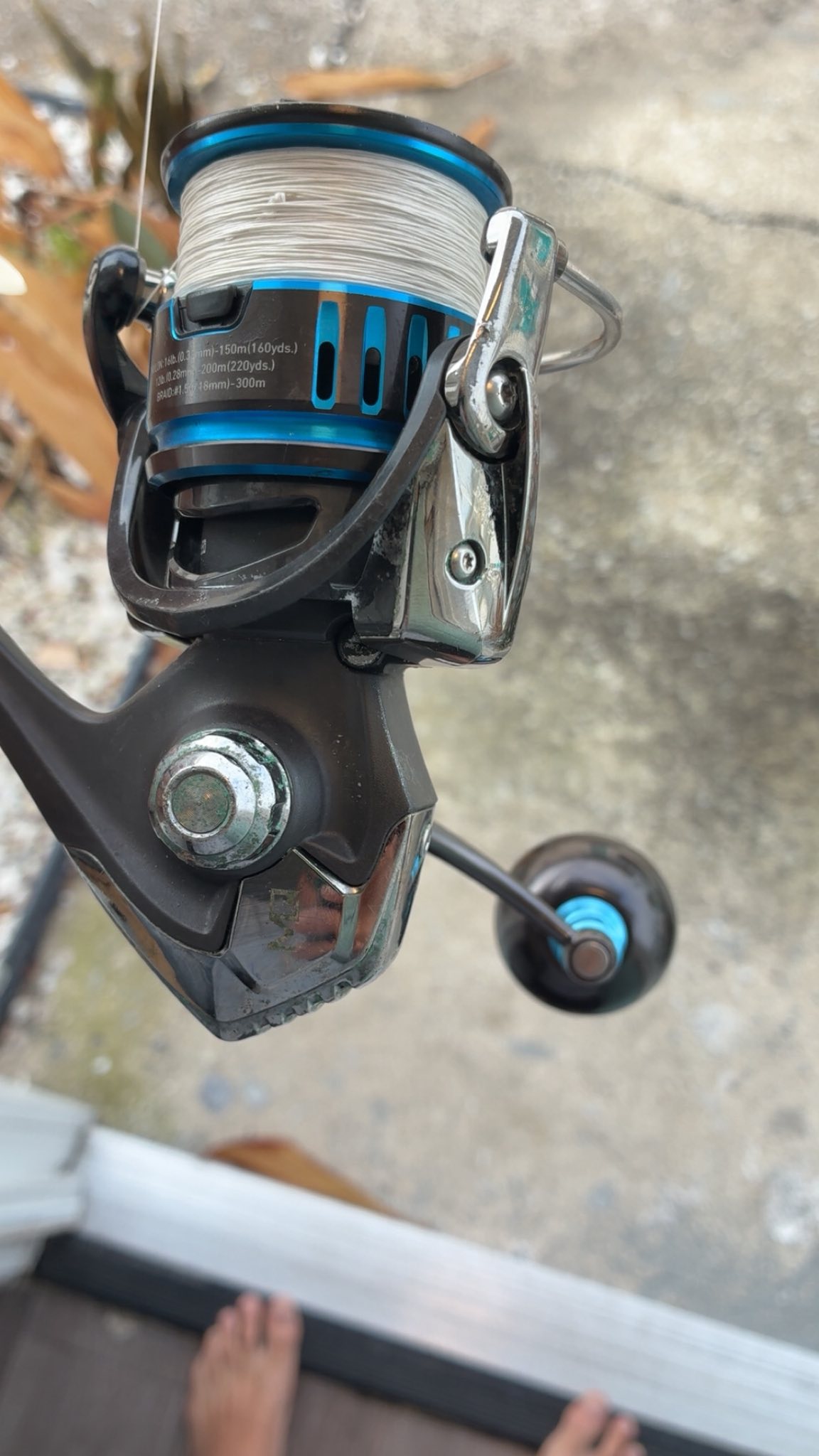 best bottom fishing reel Penn FTH300LPLH Fathom Low Profile Size:6/0 - 4 ct profile but ultra All Seamule Products - La table