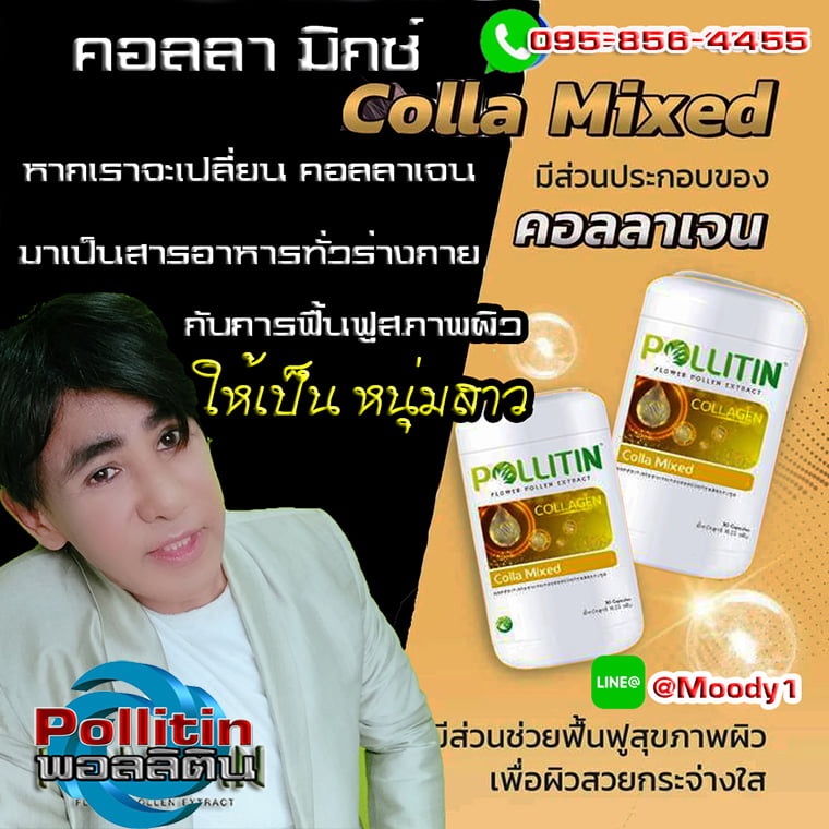คอลลามิกซ์ Pollitin Colla Mixed... - เป๊ะ ปัง เวอร์ ดี.น่า