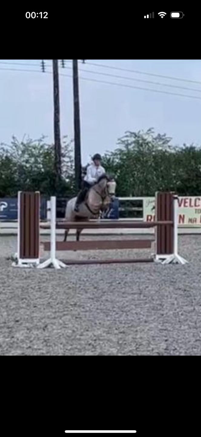The Paddocks Riding Centre | Sandyford