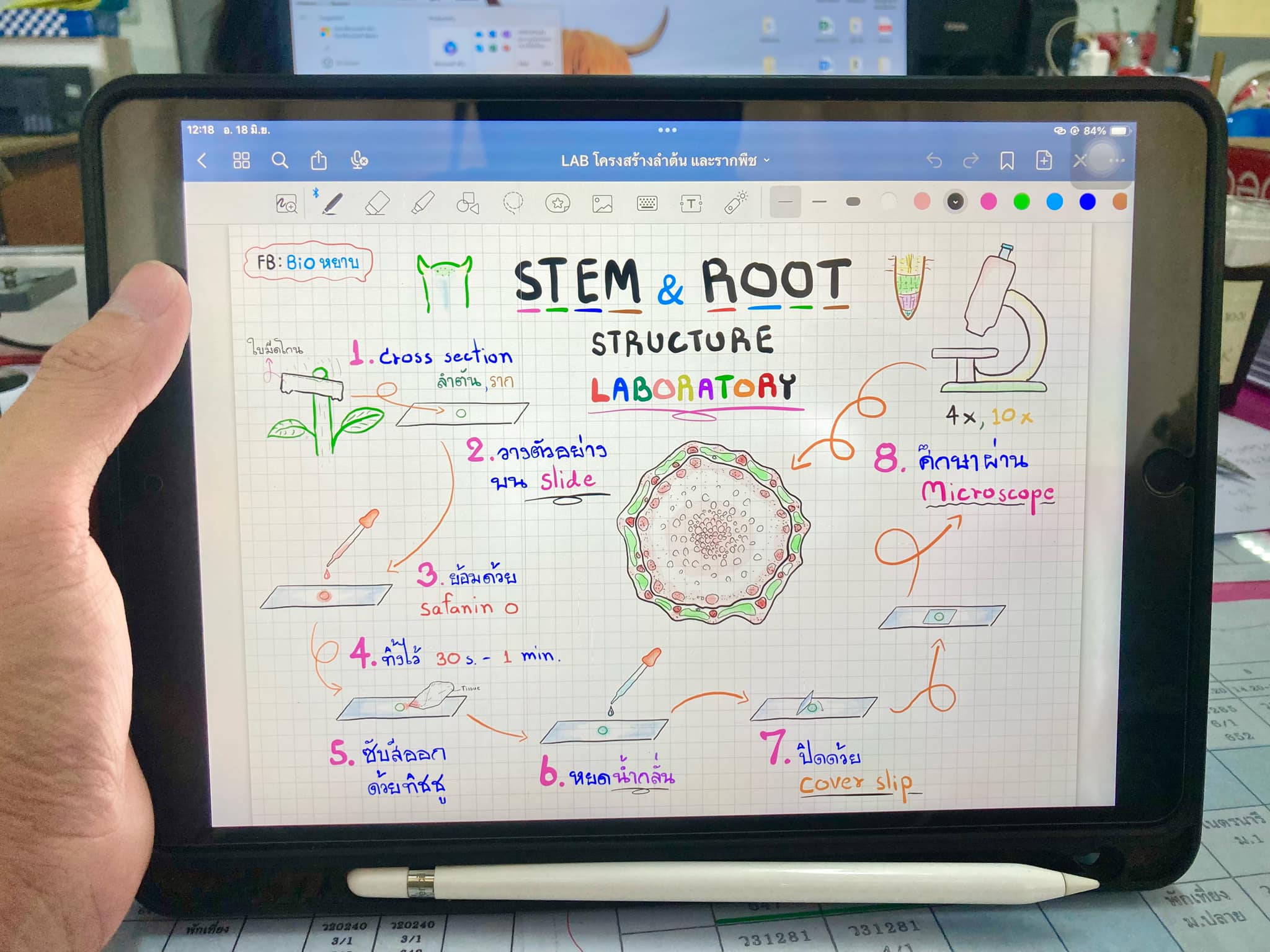 Bio หยาบ - 🔥 แจกฟรี ️Flowchart Direction LAB ไฟล์... | Facebook