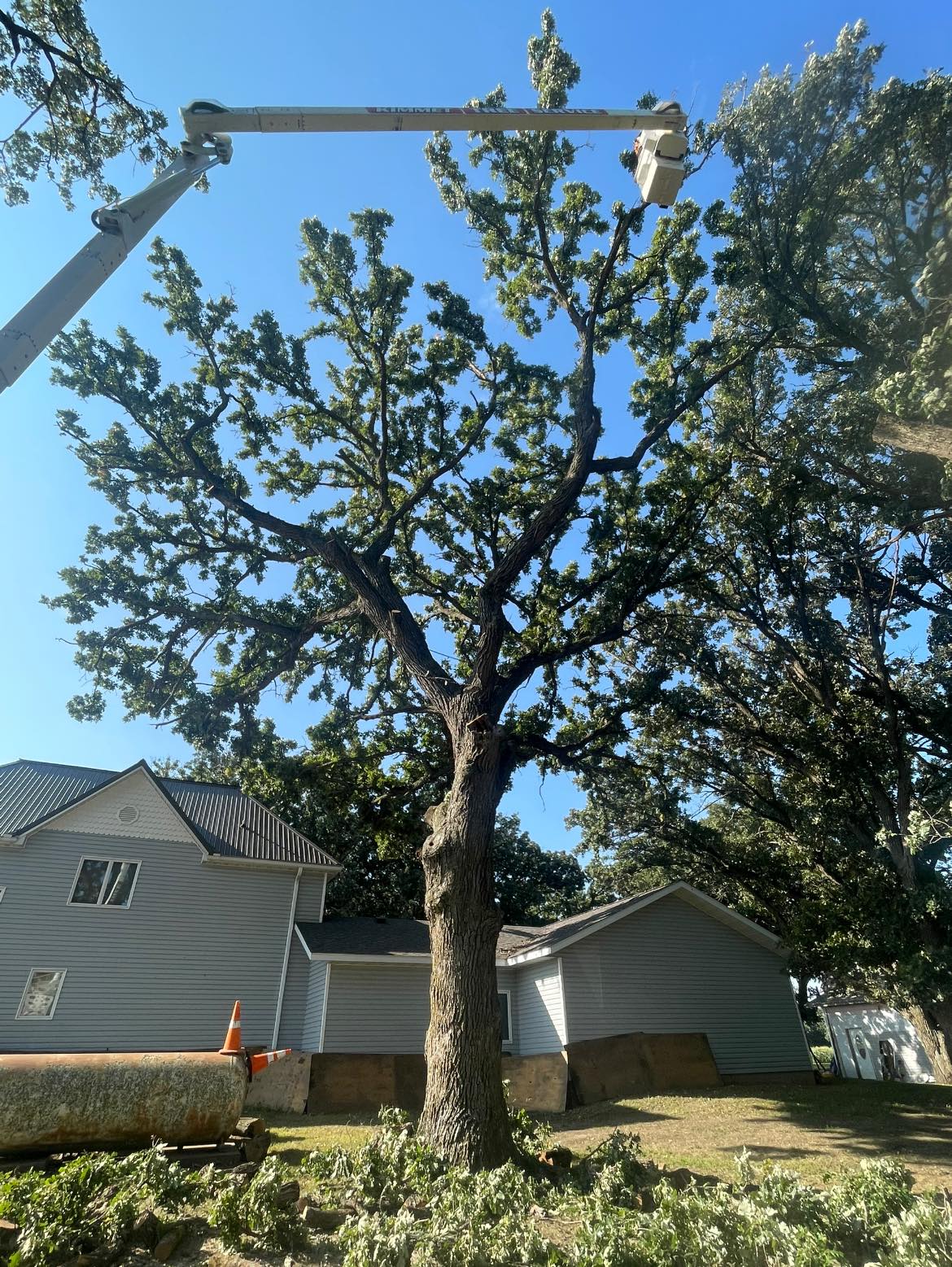No matter how big or... - Kimmet Tree Service 