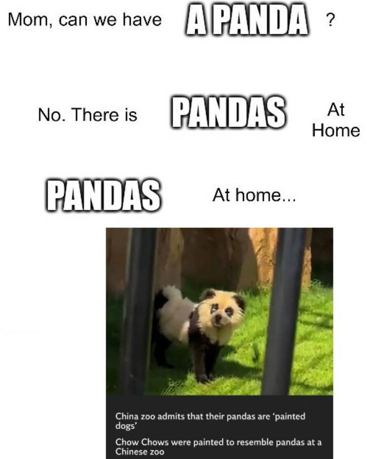 Know Your Meme - panda time