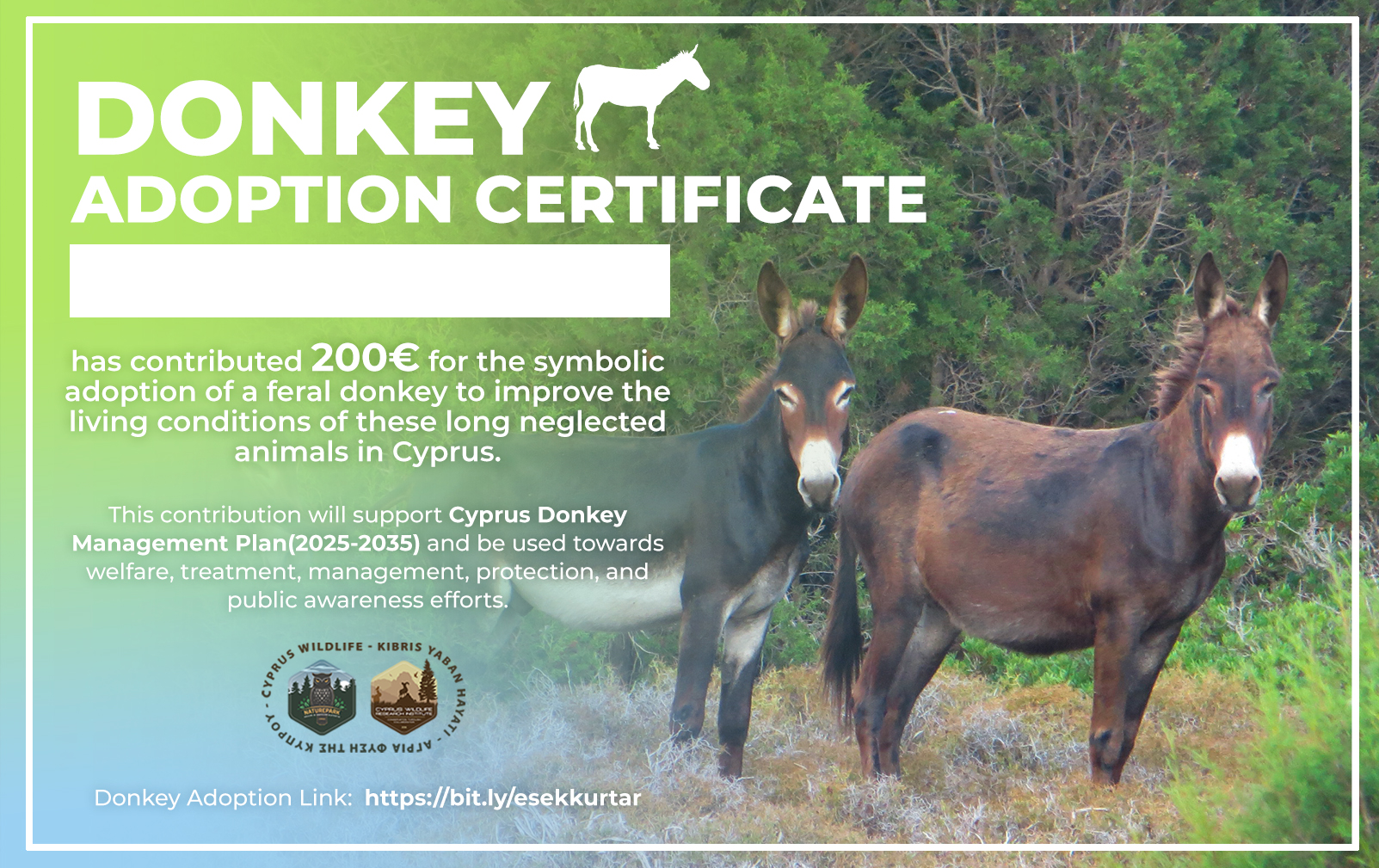 cyprus-wildlife-cyprus-wildlife-research-institute