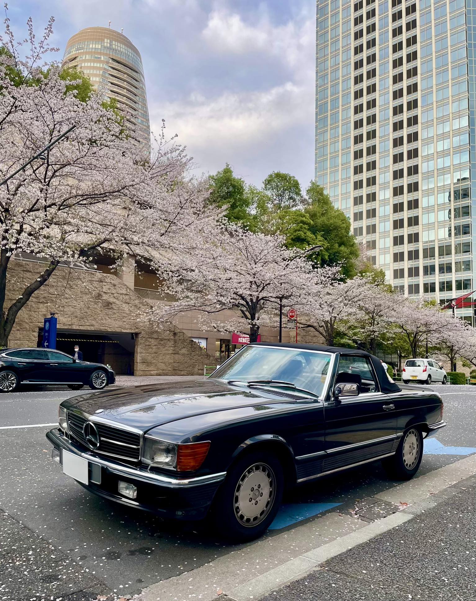 メルリー SL43 with Sakura🌸 #お花見#桜#cherryblossom #mercedesbenz #benz