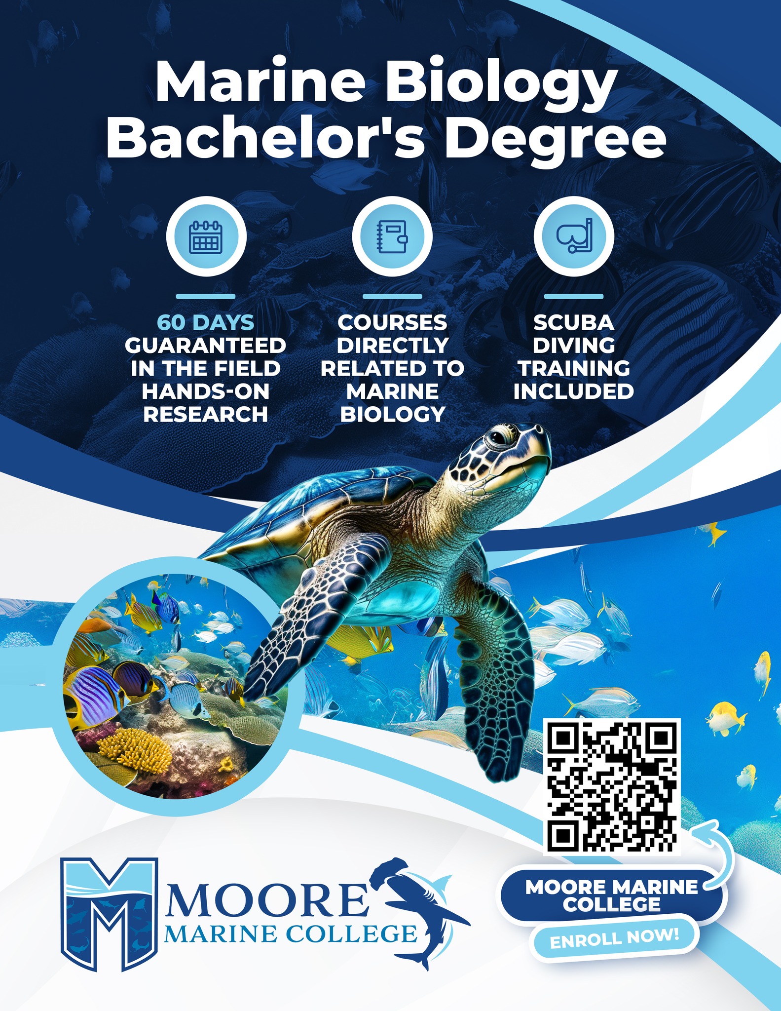 What Is Marine Biology Degree