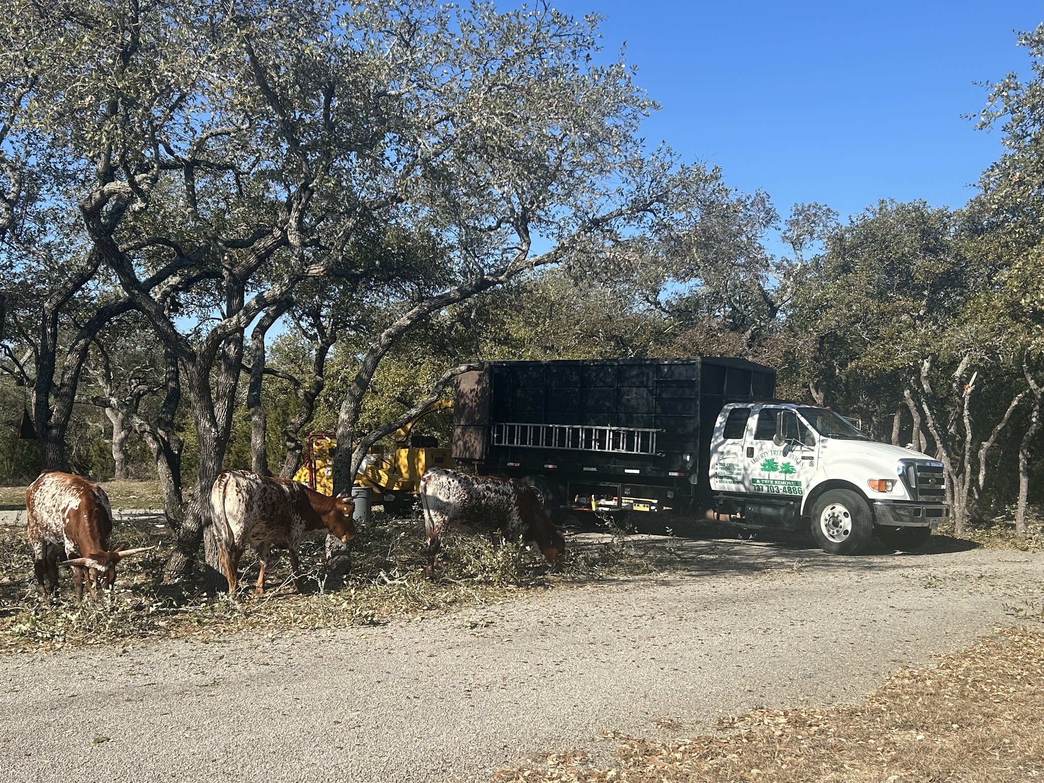 Liberty Tree Service | Round Rock TX