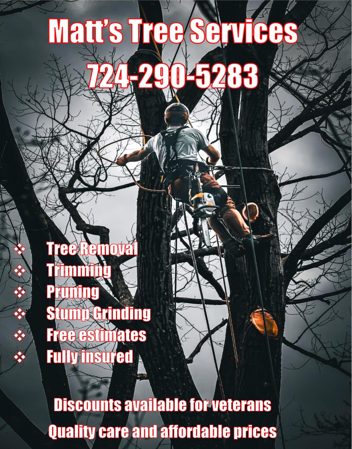 Matt’s Tree Services