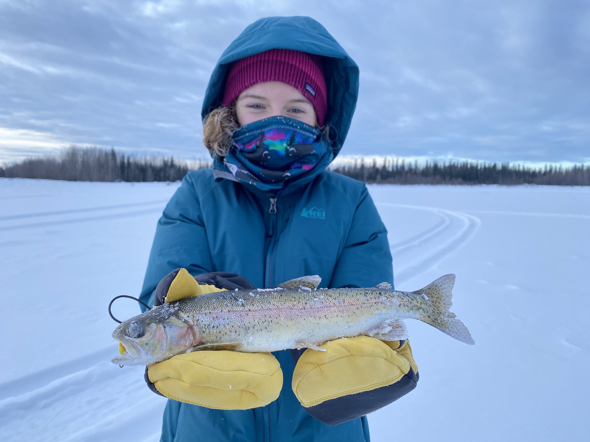 ADF&G - Sport Fishing Interior Alaska