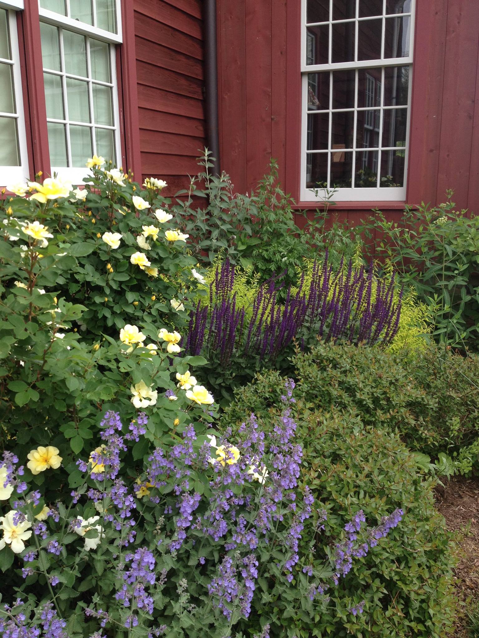 Dear Garden Associates, Inc | Pipersville PA