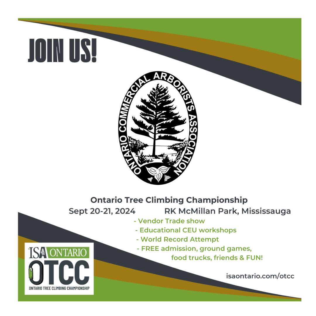 OCAA - 🌳 OCAA is Heading to the 2024 Ontario Tree Climbing Championship ...