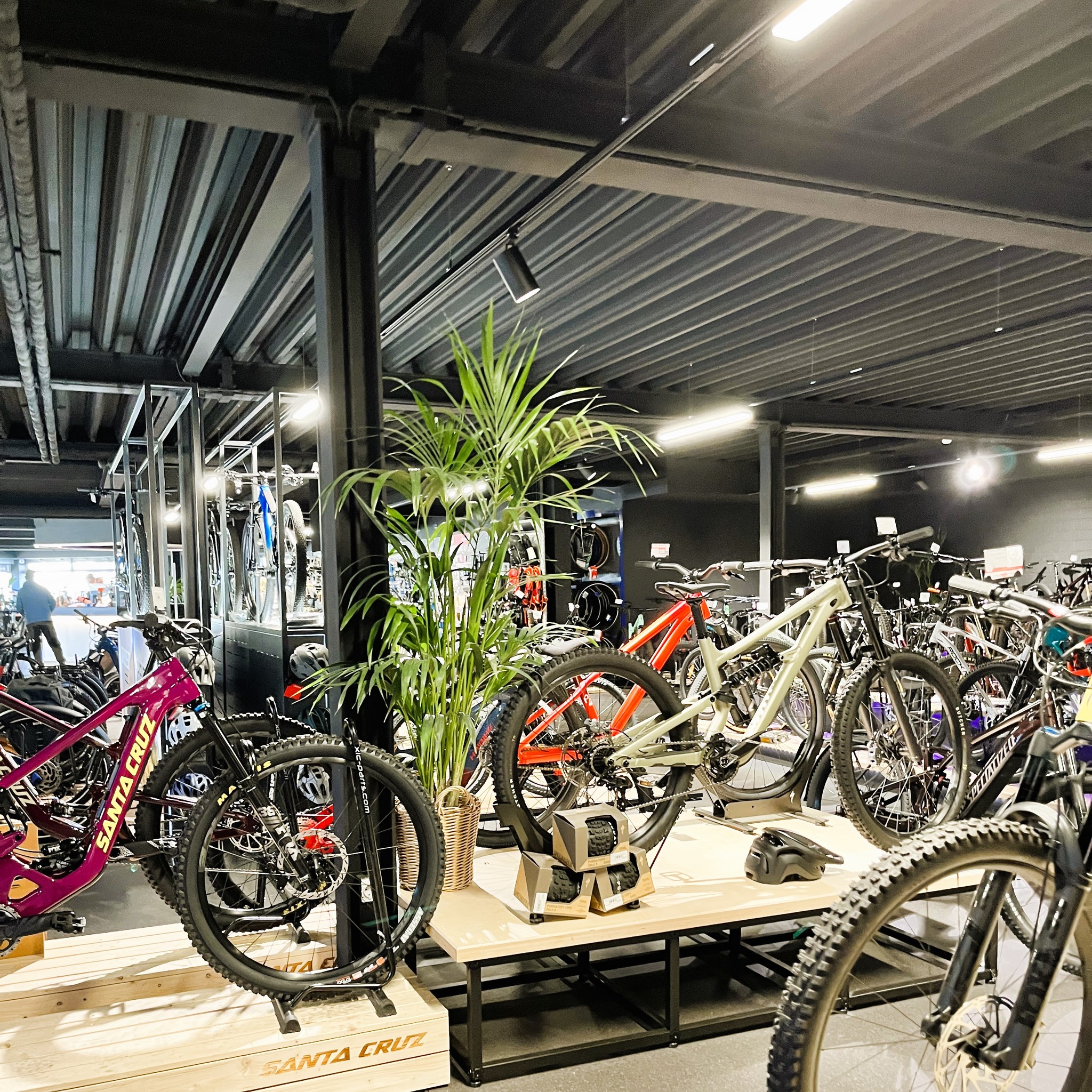 magnetverschluss fahrradhelm ABUS Urban Helm HUD-Y - mit magnetischem, aufladbarem LED-Rücklicht & - cooler für den Alltag - für Damen und Herren valonic Etui valonic - Rixe Bordeaux I8R Farbe:Petal Pink