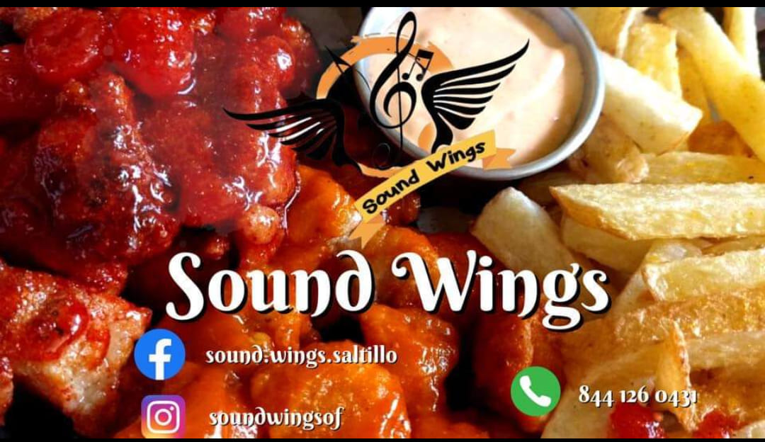 Sound Wing's