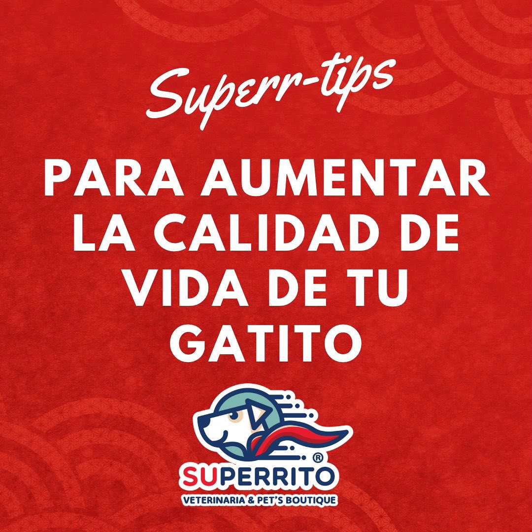 Superrito - 🐾♥️🐈 Éstos son algunos Superrtips de cuidado...