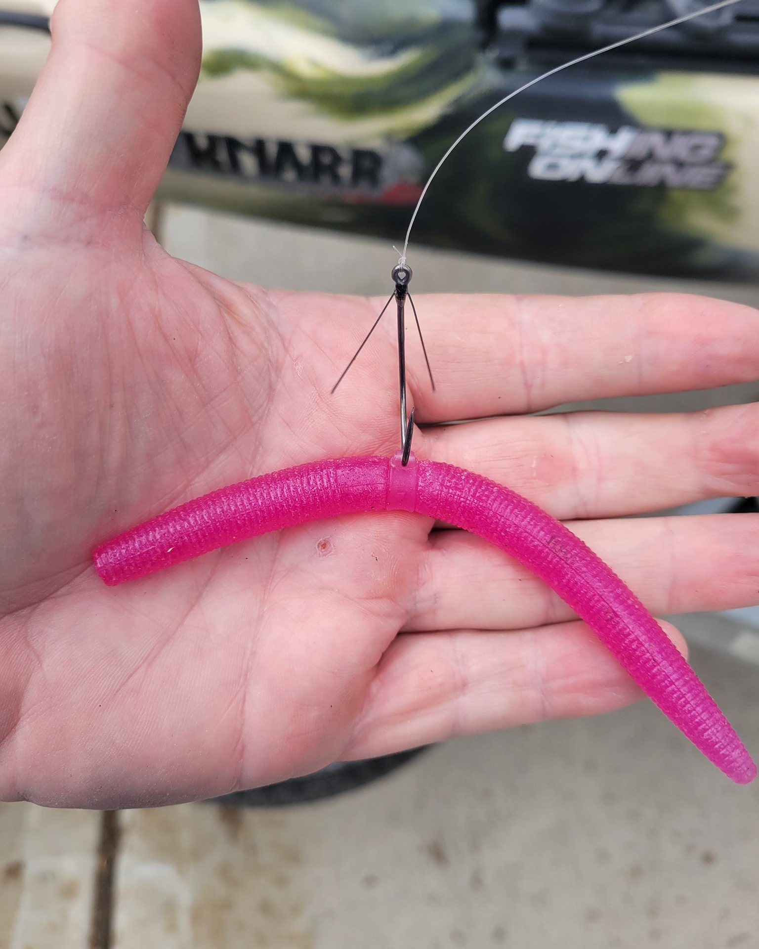 bait your hook for the fish you want to catch fish, use right bait: Scoring as a speaker with Power Presentations: Skipwith, Thomas, Regger, Reto B.: 9783952392843 Books Rigs For Catching Live Baits