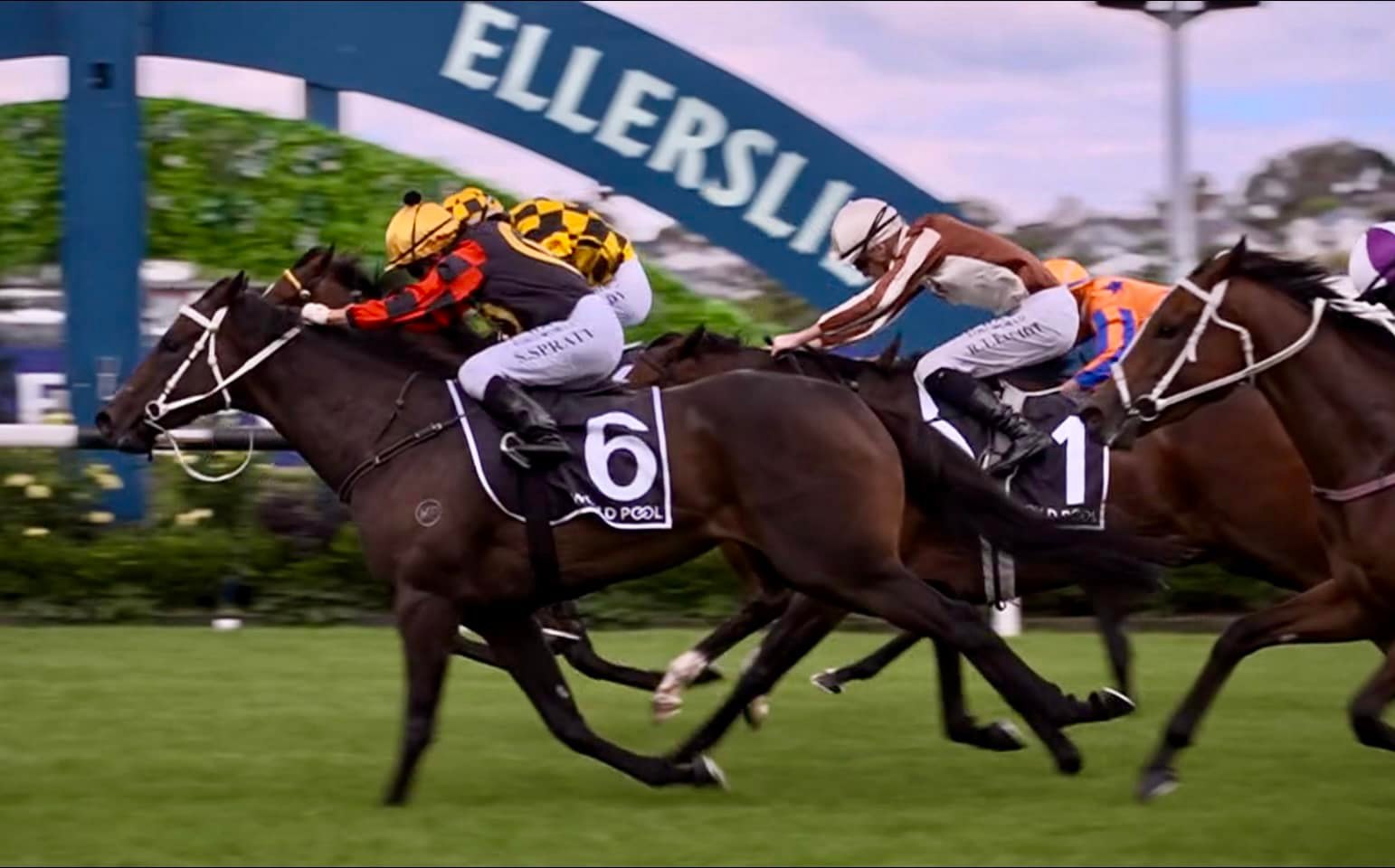 Milan Park Stud