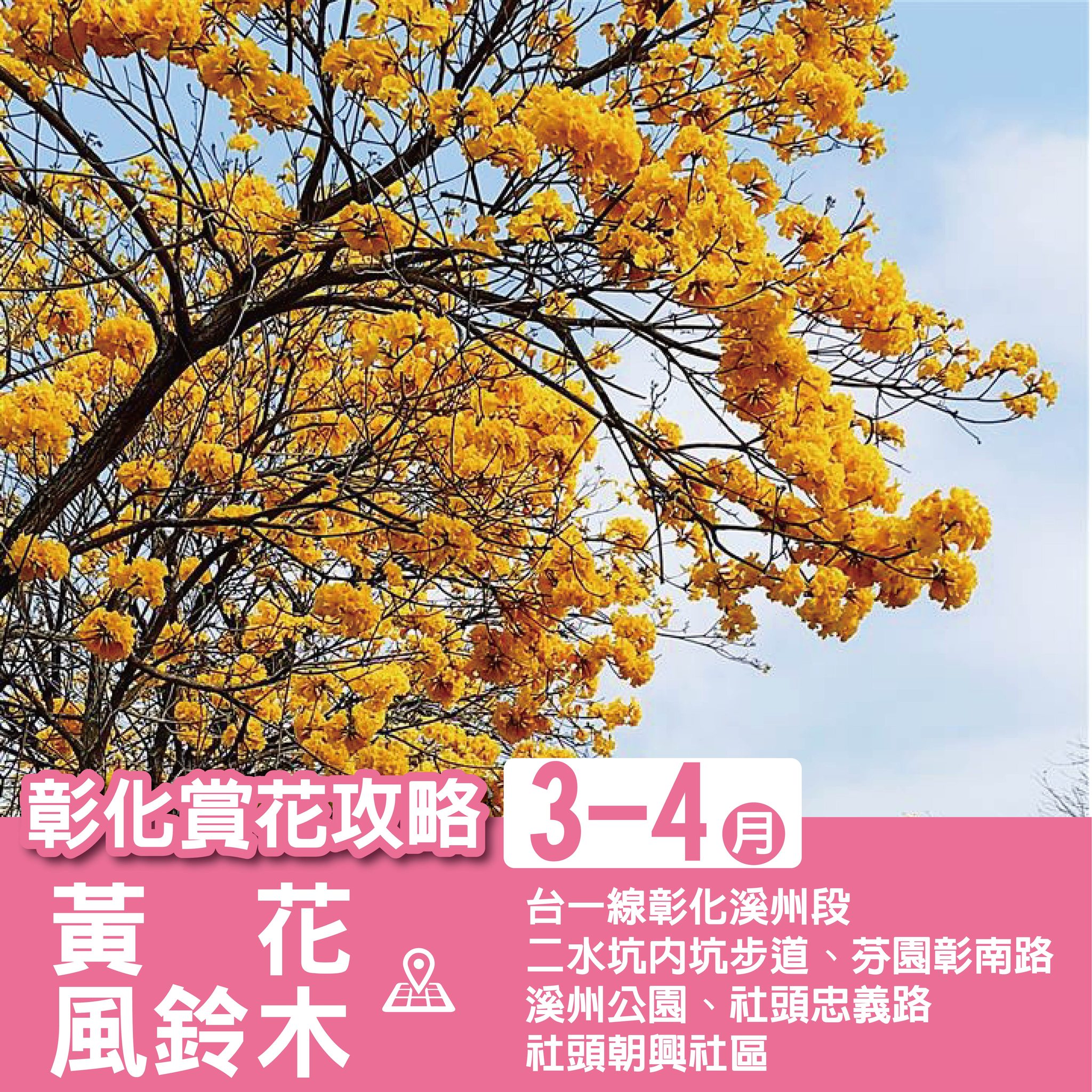 王惠美 - 春暖花開，3-4月彰化賞花攻略🌸 最美花季，就在彰化！ 帶上愛人，來趟賞花之旅