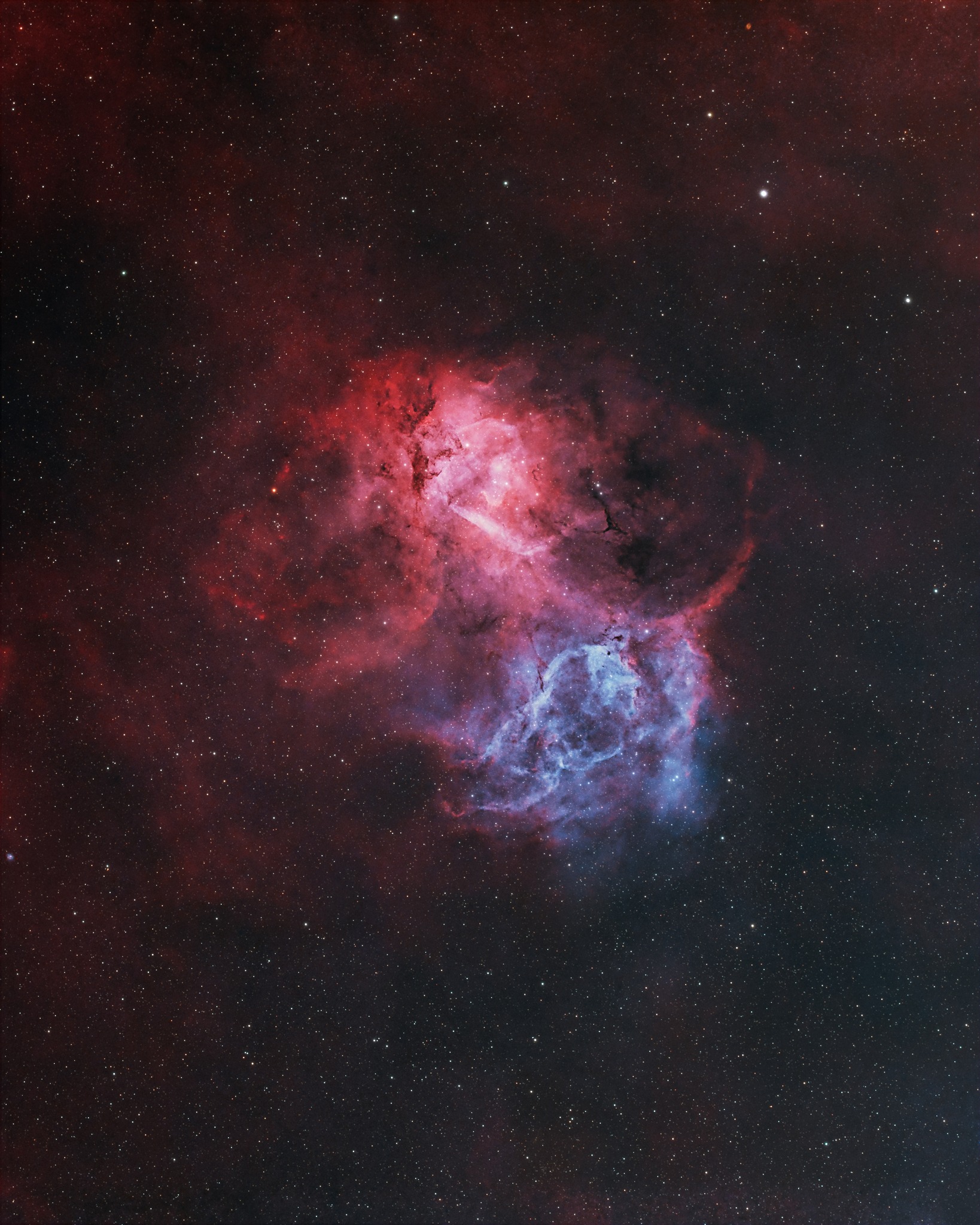 AstroBackyard - The Lion Nebula 📸 My latest image from the backyard is ...