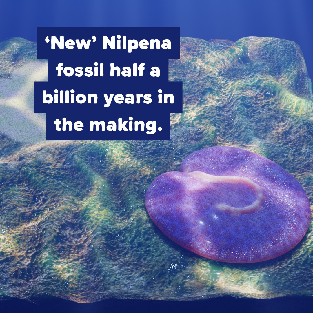 Environment - How cool is this!? In a groundbreaking discovery ...